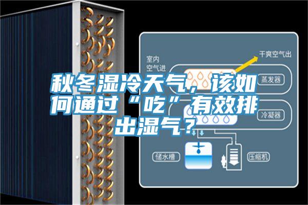 秋冬濕冷天氣，該如何通過“吃”有效排出濕氣？