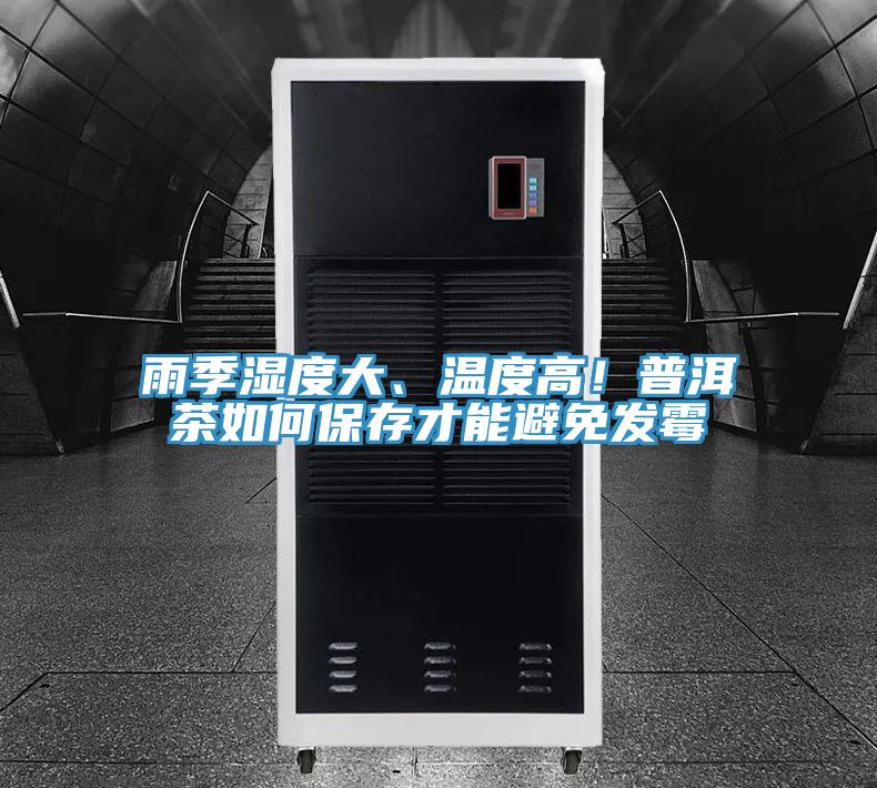 雨季濕度大、溫度高！普洱茶如何保存才能避免發黴