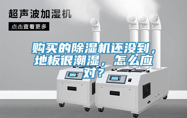 購買的草莓污视频在线看還沒到，地板很潮濕，怎麽應對？