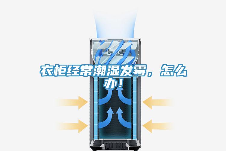 衣櫃經常潮濕發黴，怎麽辦！