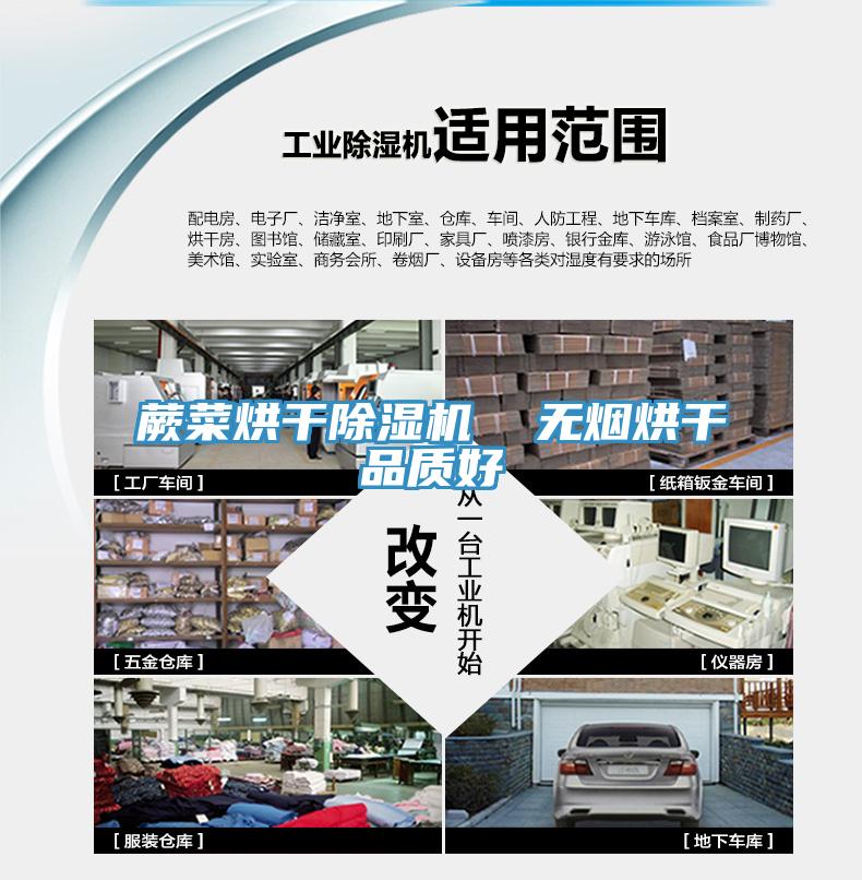 蕨菜烘幹草莓污视频在线看  無煙烘幹品質好