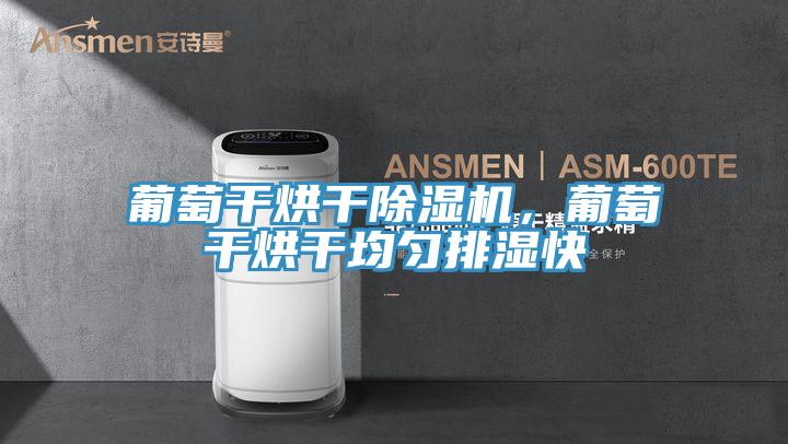 葡萄幹烘幹草莓污视频在线看，葡萄幹烘幹均勻排濕快