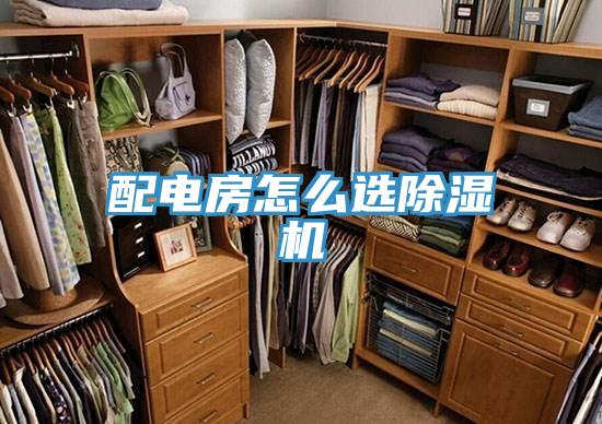 配電房怎麽選草莓污视频在线看