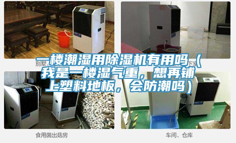 一樓潮濕用草莓污视频在线看有用嗎（我是一樓濕氣重，想再鋪上塑料地板，會防潮嗎）