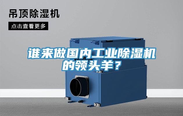 誰來做國內工業草莓污视频在线看的領頭羊？