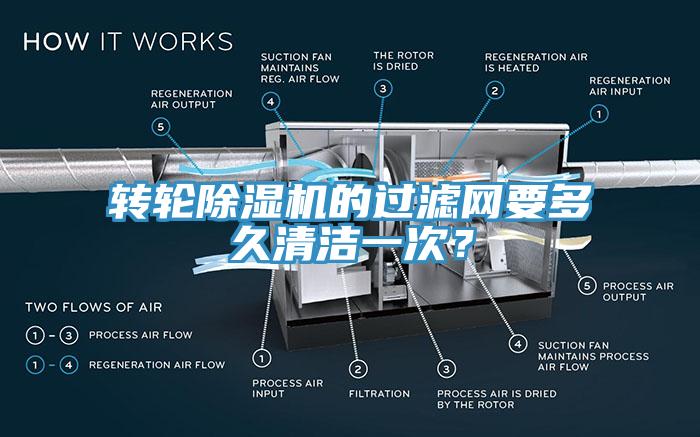 轉輪草莓污视频在线看的過濾網要多久清潔一次？