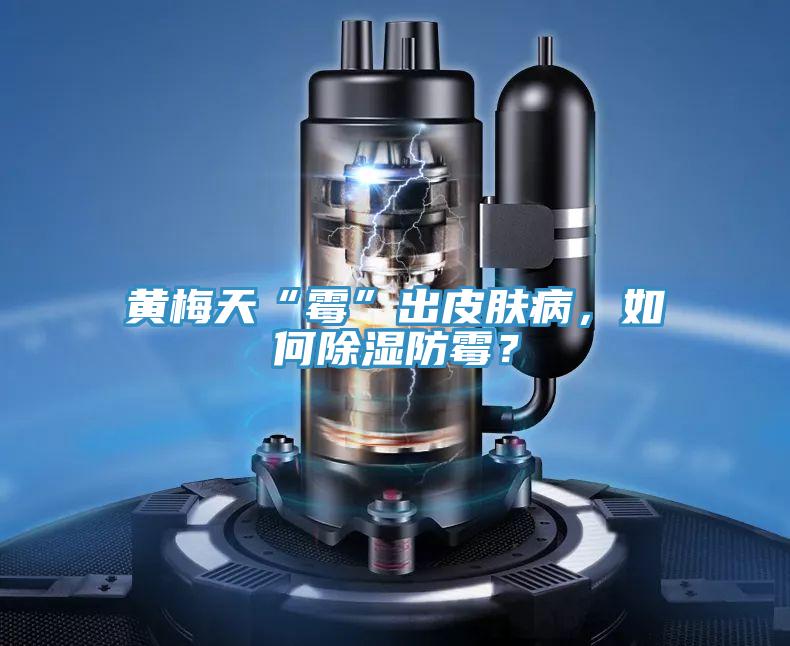 黃梅天“黴”出皮膚病，如何除濕防黴？