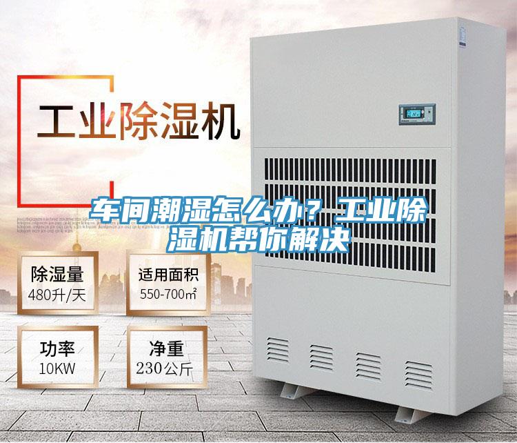 車間潮濕怎麽辦？工業草莓污视频在线看幫你解決
