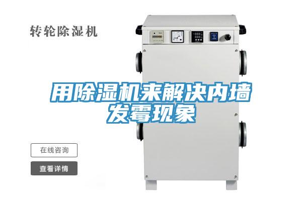 用草莓污视频在线看來解決內牆發黴現象