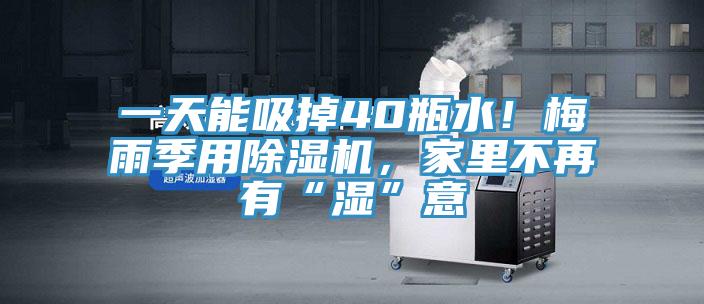 一天能吸掉40瓶水！梅雨季用草莓污视频在线看，家裏不再有“濕”意