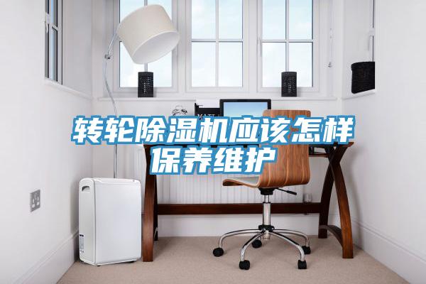 轉輪草莓污视频在线看應該怎樣保養維護
