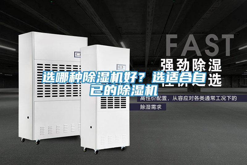 選哪種草莓污视频在线看好？選適合自已的草莓污视频在线看