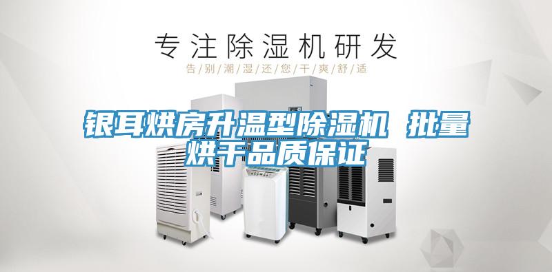 銀耳烘房升溫型草莓污视频在线看 批量烘幹品質保證