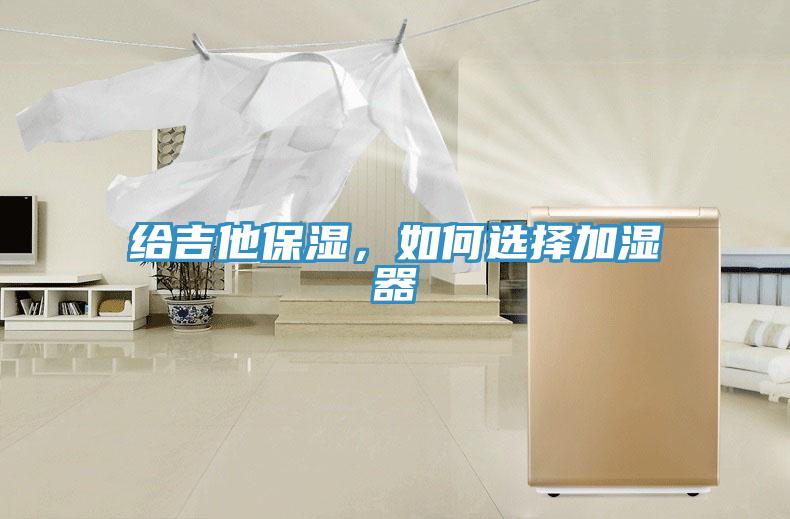 給吉他保濕，如何選擇加濕器