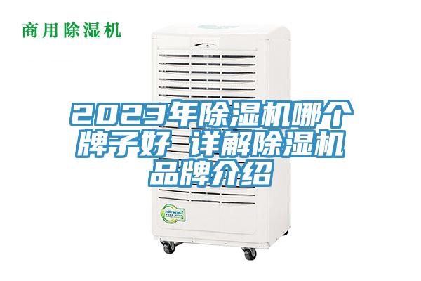 2023年草莓污视频在线看哪個牌子好 詳解草莓污视频在线看品牌介紹