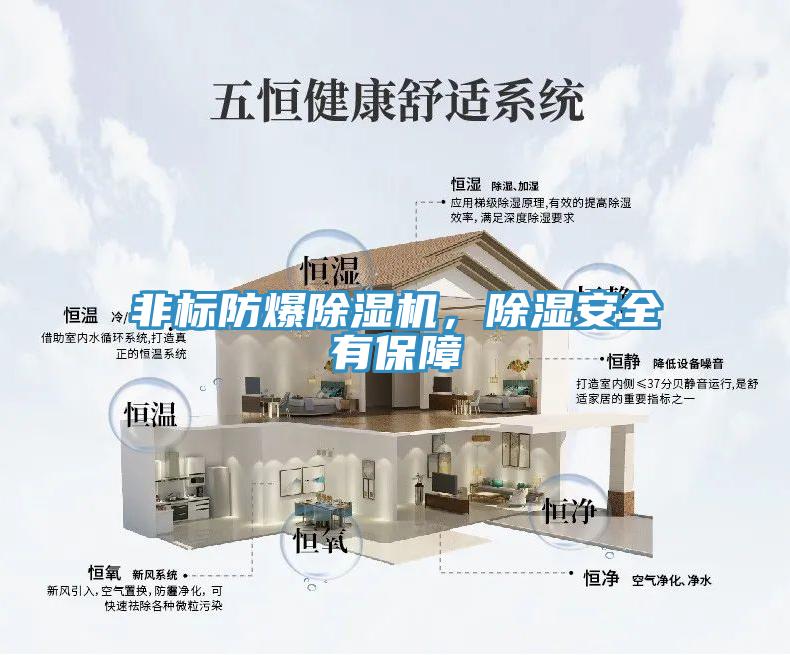 非標防爆草莓污视频在线看，除濕安全有保障