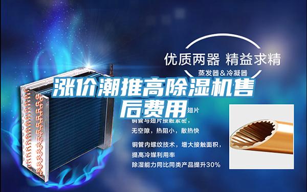 漲價潮推高草莓污视频在线看售後費用
