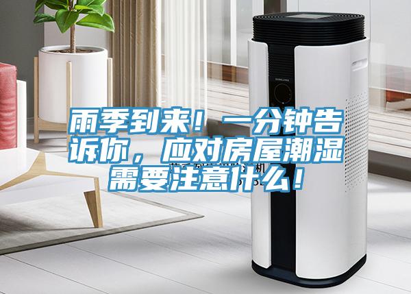 雨季到來！一分鍾告訴你，應對房屋潮濕需要注意什麽！