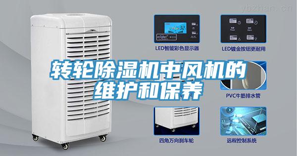 轉輪草莓污视频在线看中風機的維護和保養
