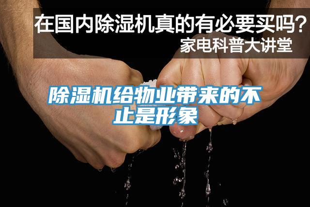 草莓污视频在线看給物業帶來的不止是形象