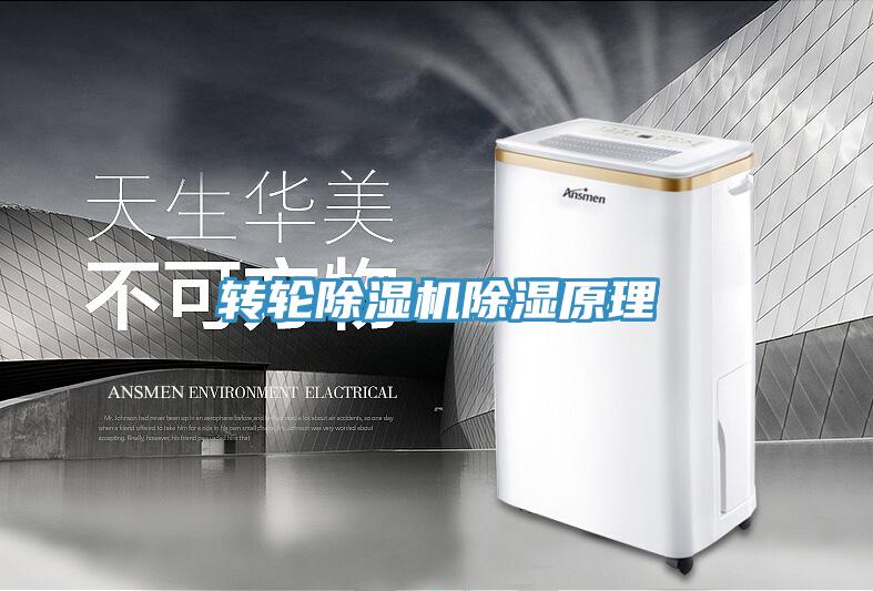 轉輪草莓污视频在线看除濕原理