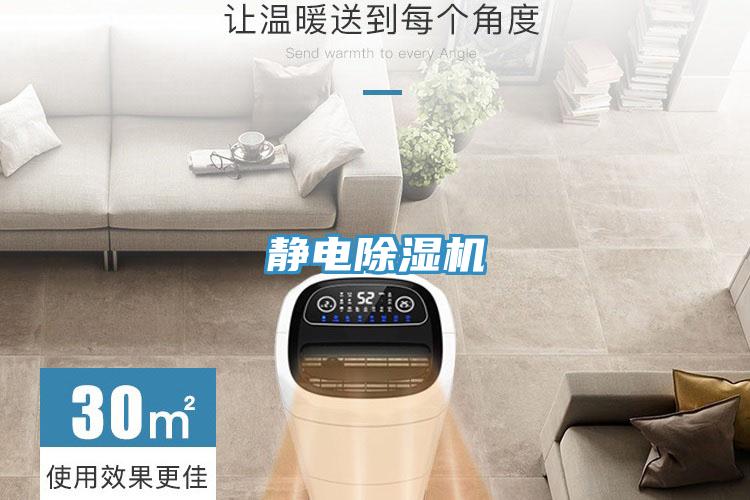 靜電草莓污视频在线看