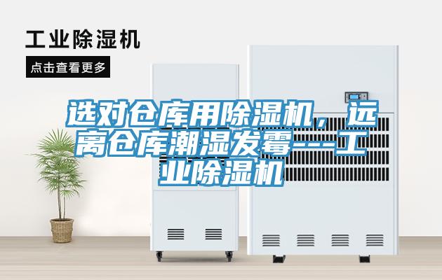 選對倉庫用草莓污视频在线看，遠離倉庫潮濕發黴---工業草莓污视频在线看