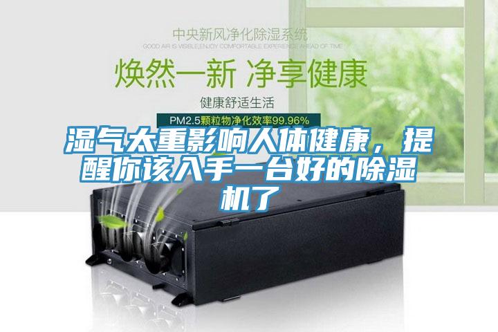濕氣太重影響人體健康，提醒你該入手一台好的草莓污视频在线看了