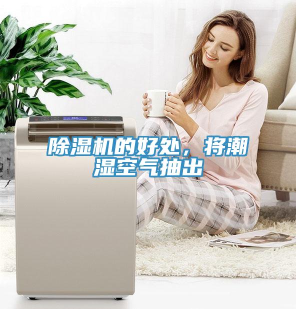 草莓污视频在线看的好處，將潮濕空氣抽出
