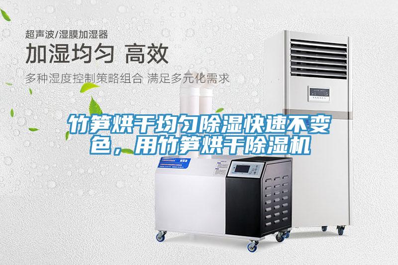 竹筍烘幹均勻除濕快速不變色，用竹筍烘幹草莓污视频在线看