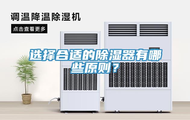 選擇合適的除濕器有哪些原則？