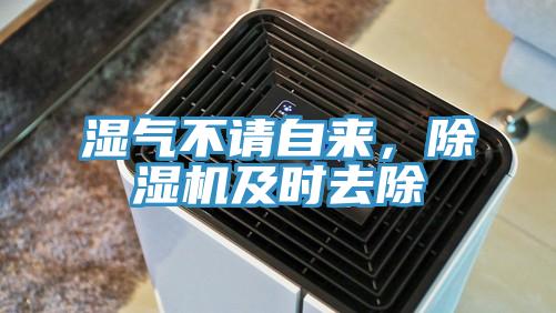 濕氣不請自來，草莓污视频在线看及時去除