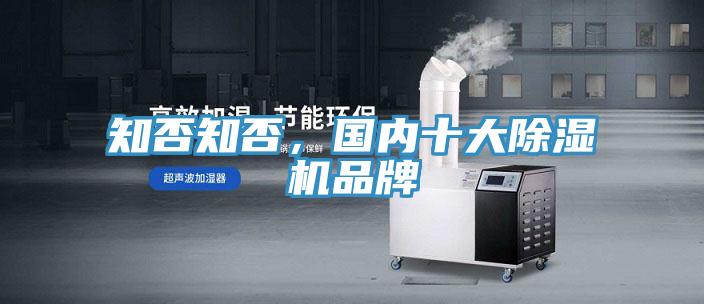 知否知否，國內十大草莓污视频在线看品牌