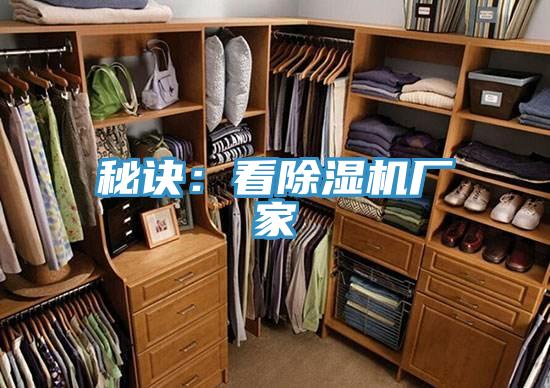 秘訣：看草莓污视频在线看廠家