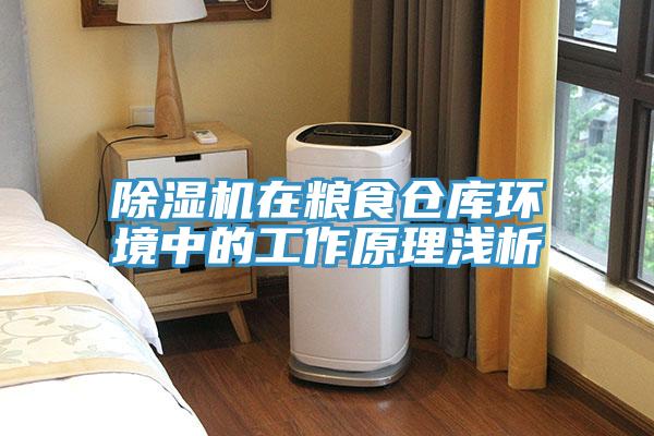 草莓污视频在线看在糧食倉庫環境中的工作原理淺析
