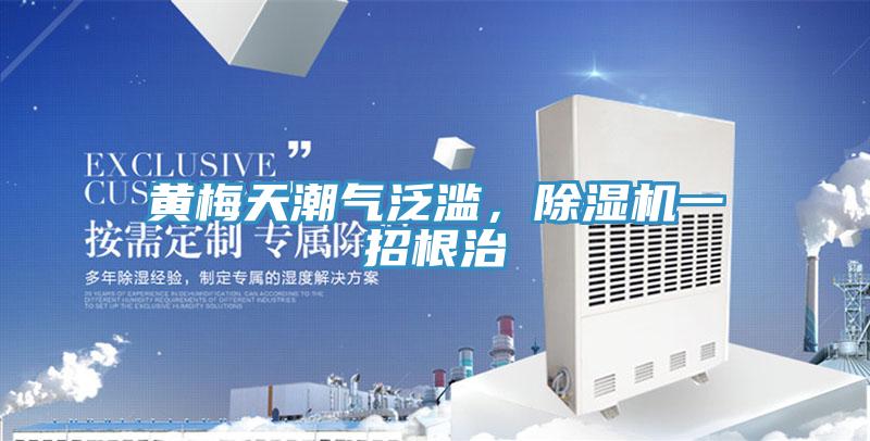 黃梅天潮氣泛濫，草莓污视频在线看一招根治
