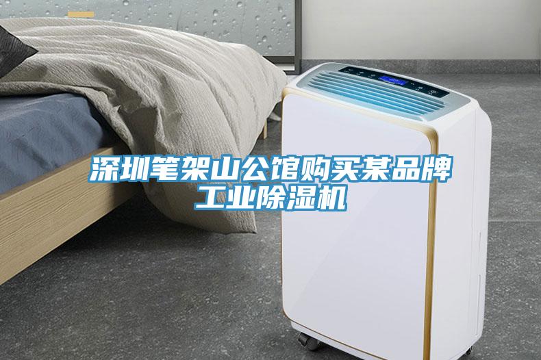 深圳筆架山公館購買某品牌工業草莓污视频在线看