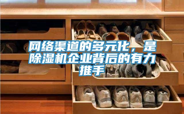 網絡渠道的多元化，是草莓污视频在线看企業背後的有力推手