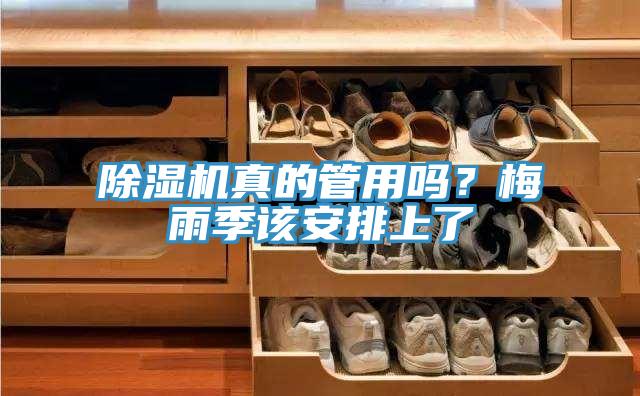 草莓污视频在线看真的管用嗎？梅雨季該安排上了