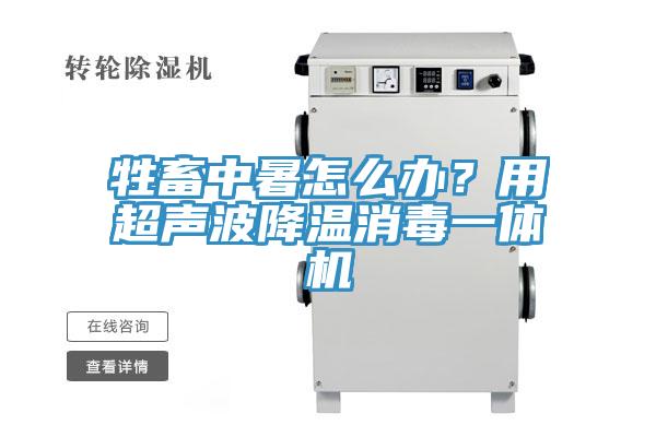 牲畜中暑怎麽辦？用超聲波降溫消毒一體機