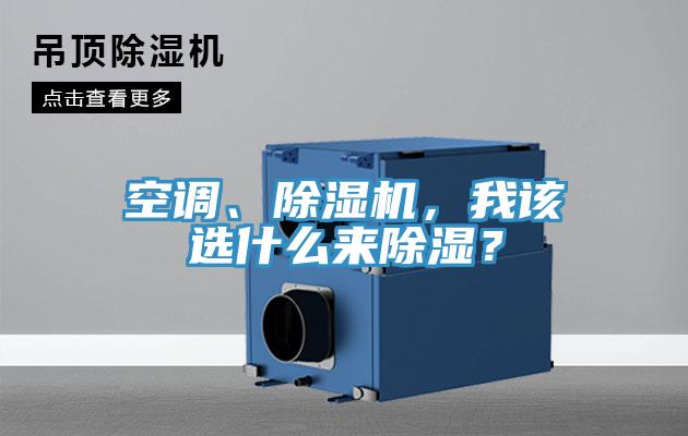 空調、草莓污视频在线看，我該選什麽來除濕？