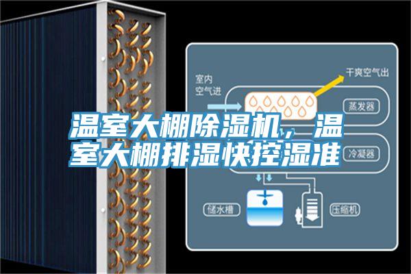 溫室大棚草莓污视频在线看，溫室大棚排濕快控濕準