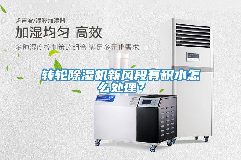 轉輪草莓污视频在线看新風段有積水怎麽處理？