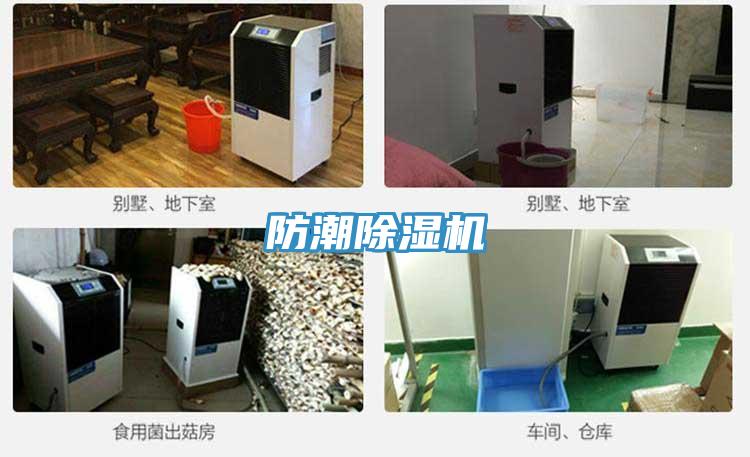 防潮草莓污视频在线看