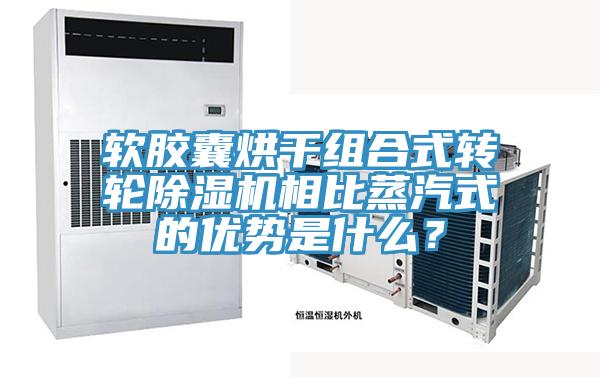 軟膠囊烘幹組合式轉輪草莓污视频在线看相比蒸汽式的優勢是什麽？
