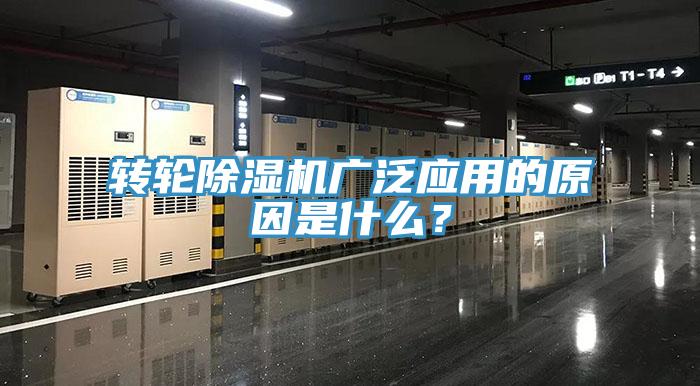 轉輪草莓污视频在线看廣泛應用的原因是什麽？