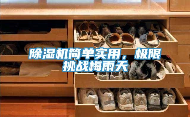 草莓污视频在线看簡單實用，極限挑戰梅雨天