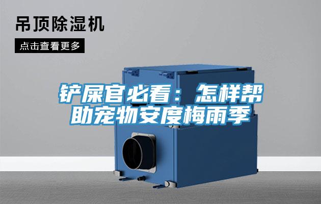 鏟屎官必看：怎樣幫助寵物安度梅雨季