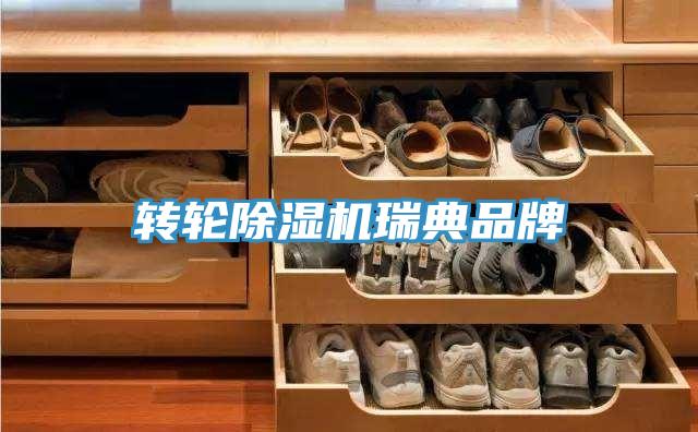 轉輪草莓污视频在线看瑞典品牌