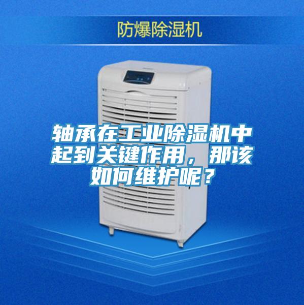 軸承在工業草莓污视频在线看中起到關鍵作用，那該如何維護呢？